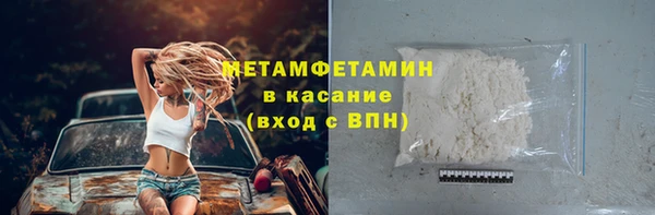 прущие грибы Курчалой