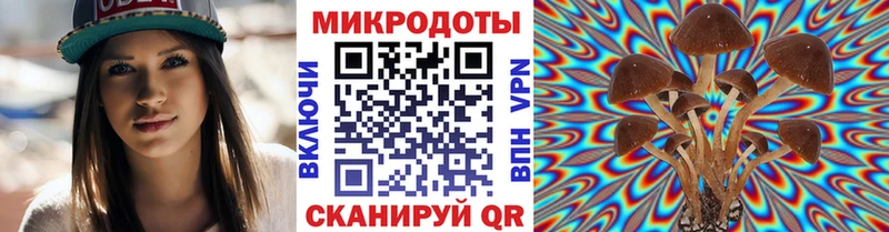 Псилоцибиновые грибы Psilocybe  Михайловск 
