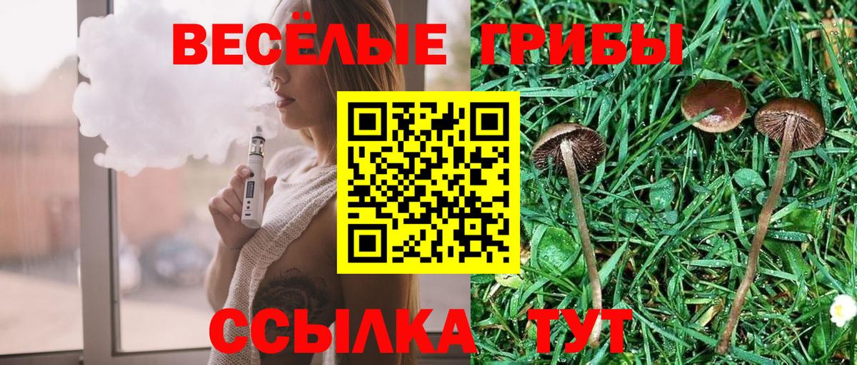 Галлюциногенные грибы Magic Shrooms Михайловск
